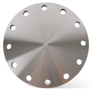 Blindfläns DN250 273 mm PN16 av rostfritt stål 1.4541 / 321